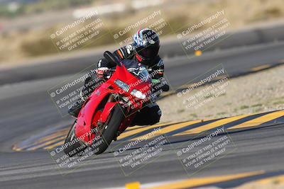 media/Oct-05-2024-Race Pace (Sat) [[aa7b44e117]]/2-Turn 11 (815am)/